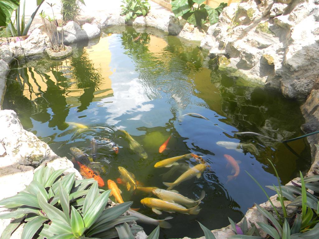 Hacienda Coba Bed and Breakfast Buitenkant foto