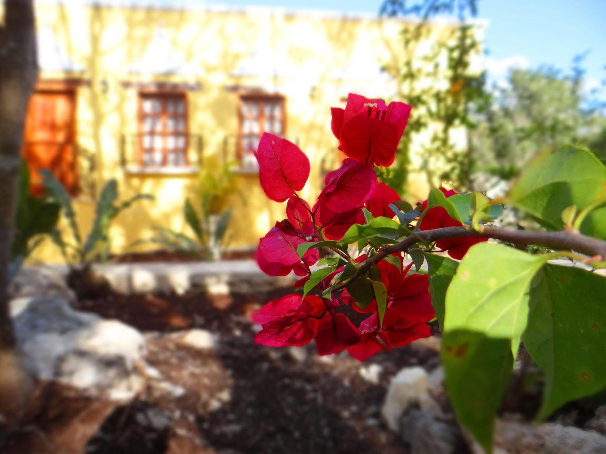 Hacienda Coba Bed and Breakfast Buitenkant foto